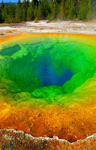 美南迪士尼世界/神奇王國/動物王國